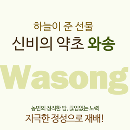 신토불이 생 와송 진액 즙 100ml 60포 1박스 국산 엑기스 농축액 액기스 선물 - 상세 이미지 2