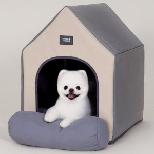 항균 항바이러스 애견 하우스 사계절 강아지집 에브리데이 하우스 2.0 소... 솔직 후기 | 실제 사용자 리뷰 총정리 - 상품 이미지 1