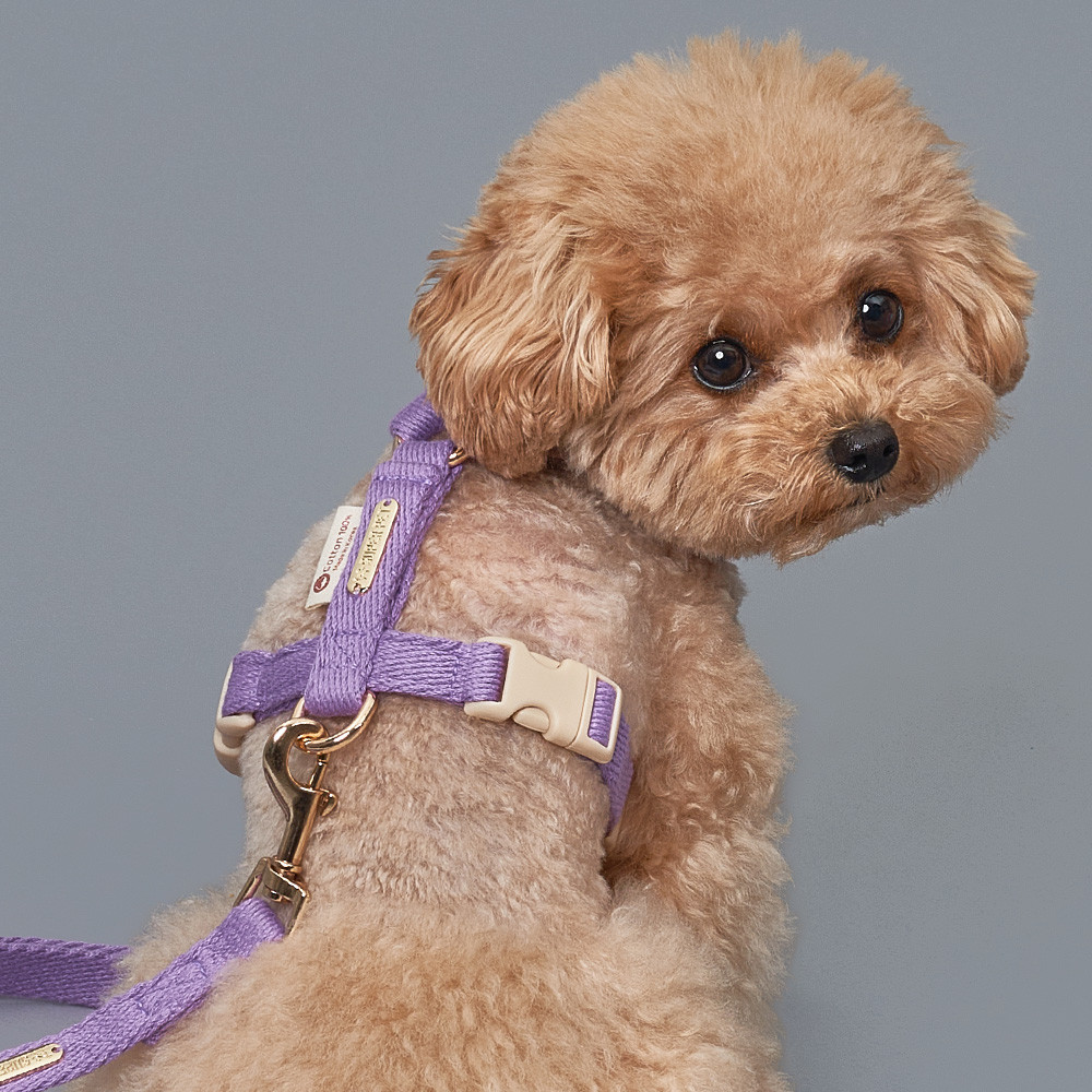 강아지 하네스 앞섬방지 H형 코튼 가슴줄 국내산 100% 순면