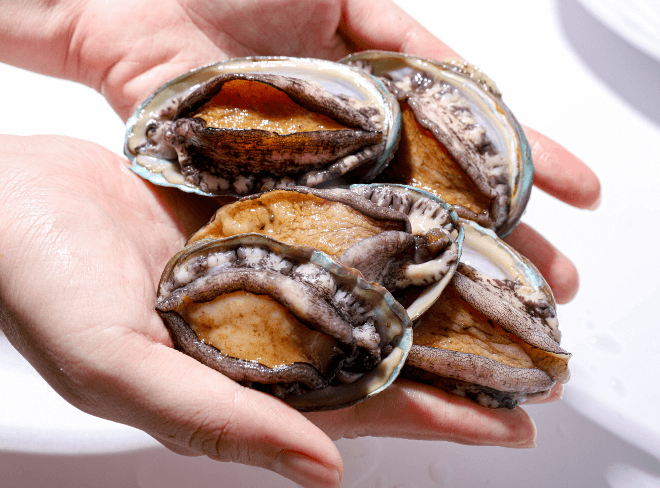 숨쉬는 포장 - 완도 활 전복 대22미 1.5kg (750g+750g)