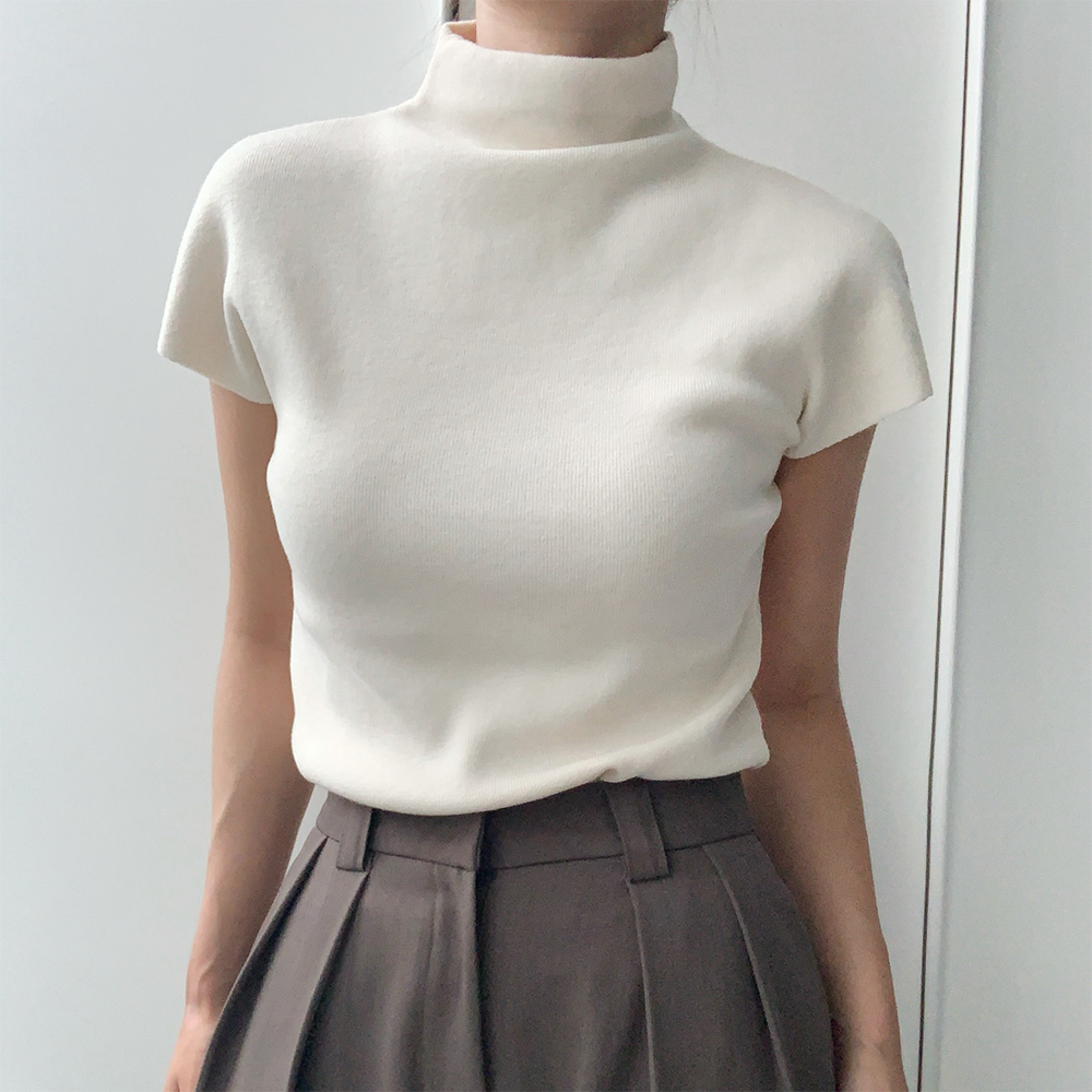 반목폴라니트 반팔니트