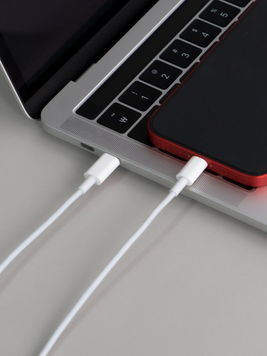 레드빈 베이직 Cto라이트닝 1.2m 아이폰 고속충전 케이블