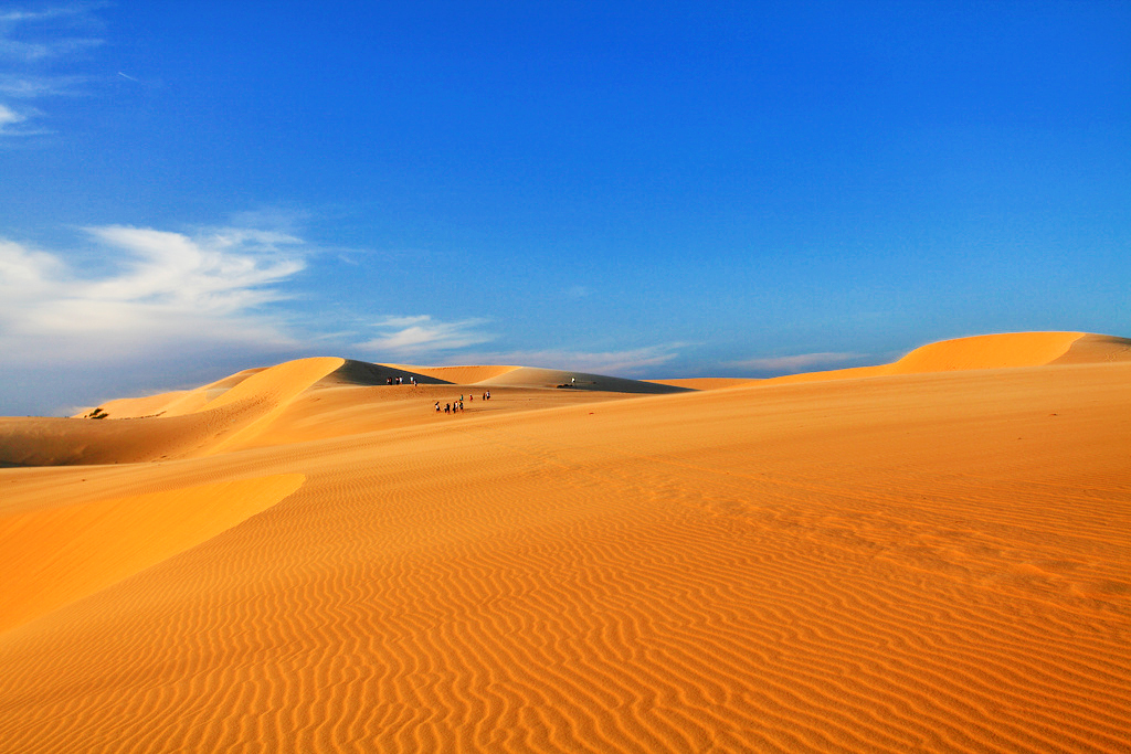 호치민 무이네 이동 프라이빗 렌트카 편도 왕복 차량