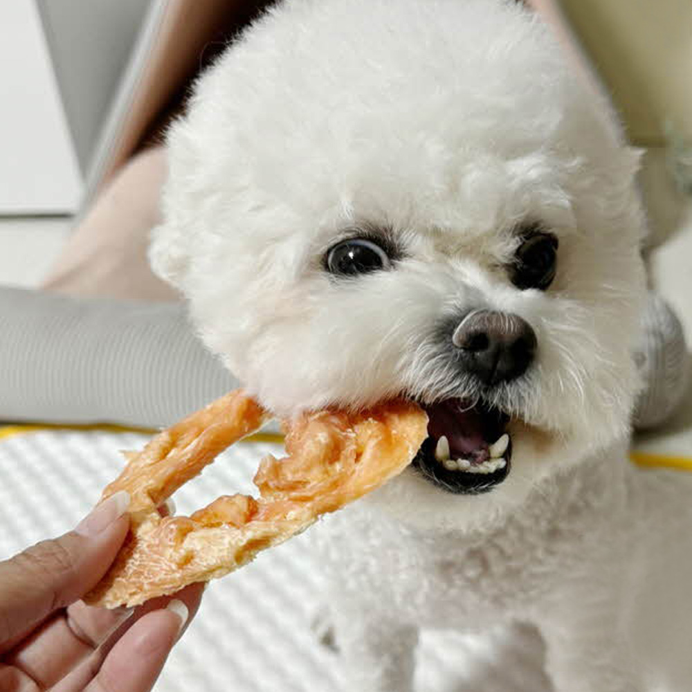 헬로도기 황태 터키츄 강아지 오래먹는 이갈이간식 칠면조 링 1P