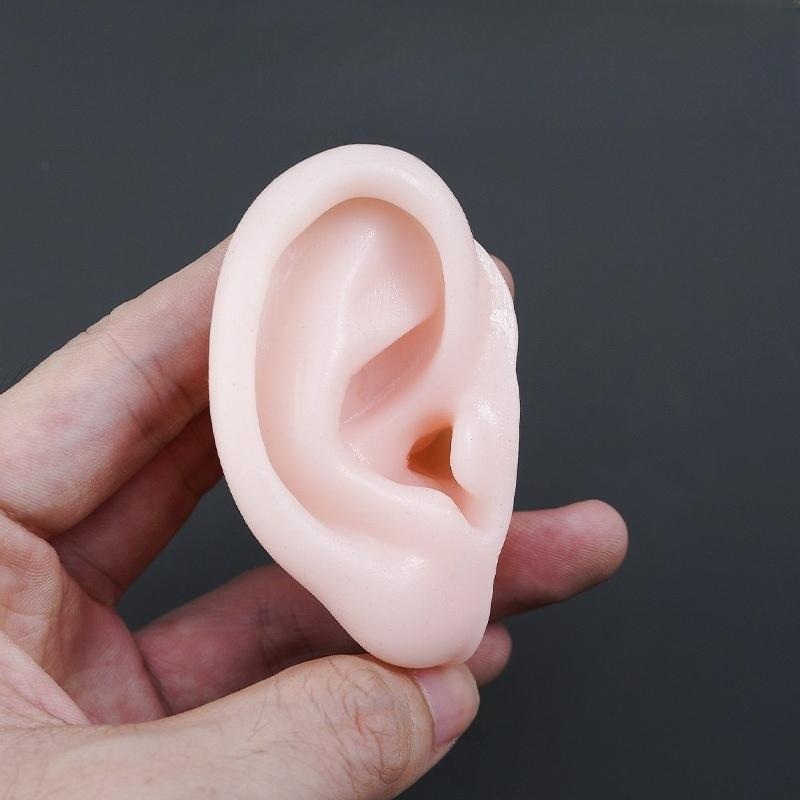 asmr 귀모형 모형귀 침술 연습 귀경혈 인조귀 모형 - 메인 이미지