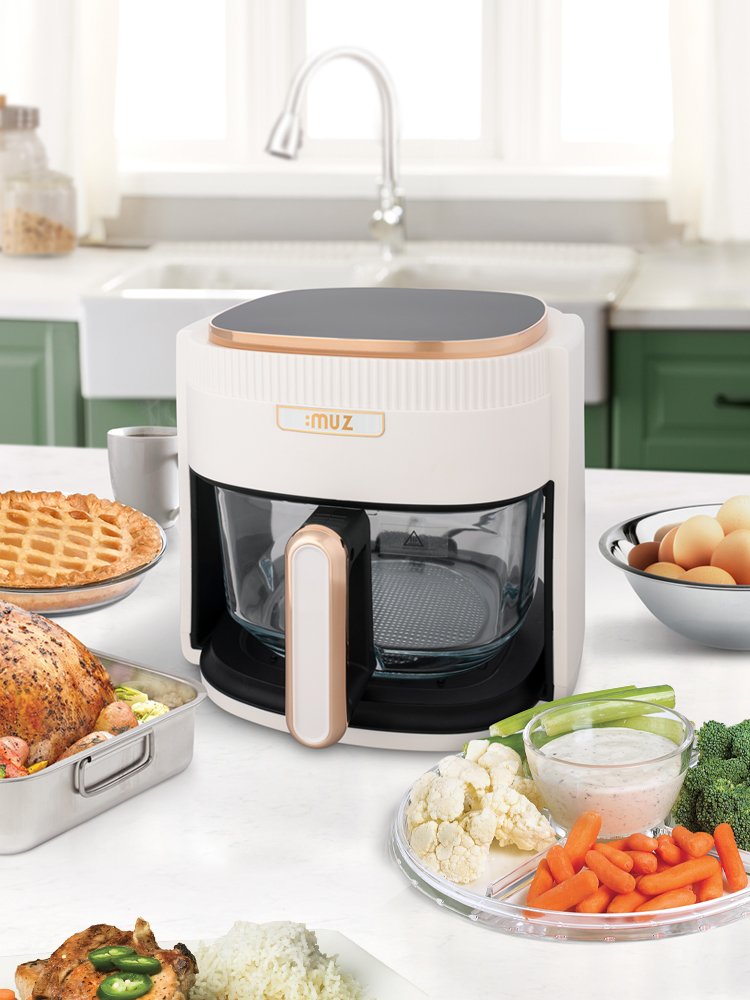 아이뮤즈 뮤잉 글라스 에어프라이어 4.5L