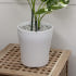 흰색 플라스틱 화분 가벼운 대형 화분 거실 빈 화이트 1호 실사용 후기 | 효과 있을까? 썸네일