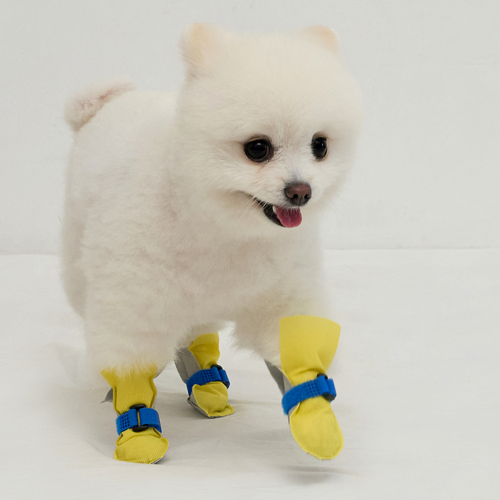 강아지신발 일회용 애견 방수 쉴드슈즈 옐로우S 80매