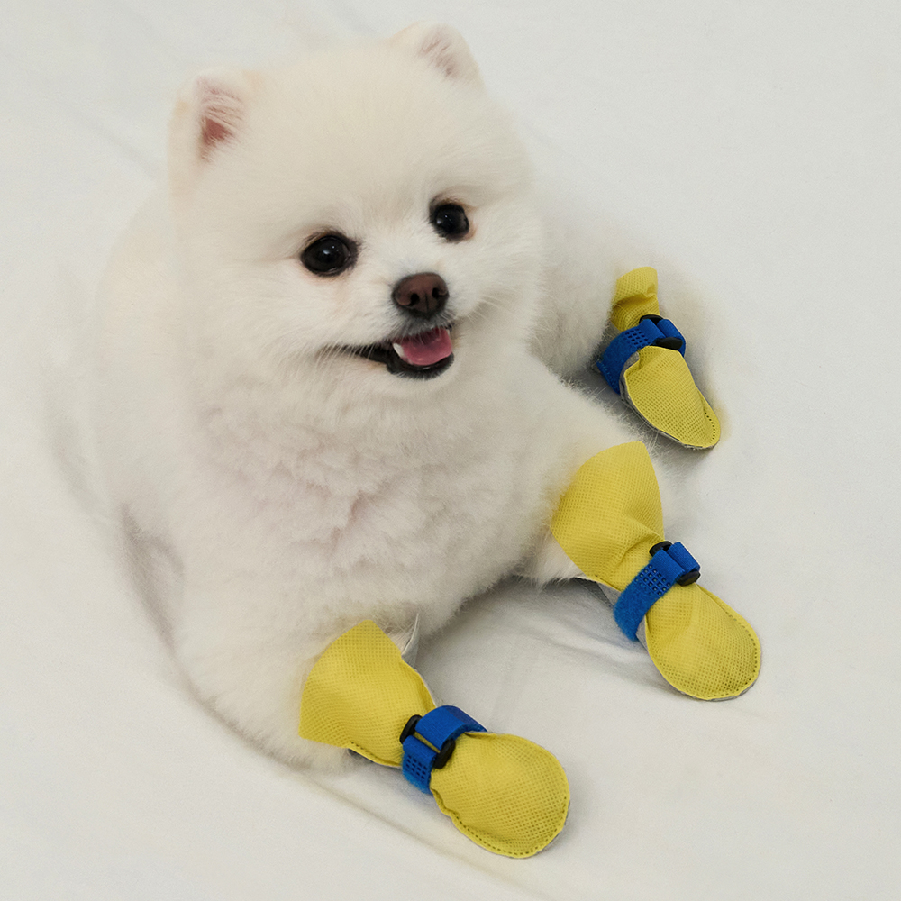 강아지신발 일회용 애견 방수 쉴드슈즈 옐로우S 80매
