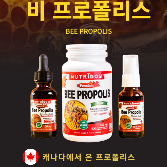 뉴트리돔 캐나다산 꿀벌 벌꿀 프로폴리스 액상 스프레이타입 30ml, 6개 - 상세 이미지 3