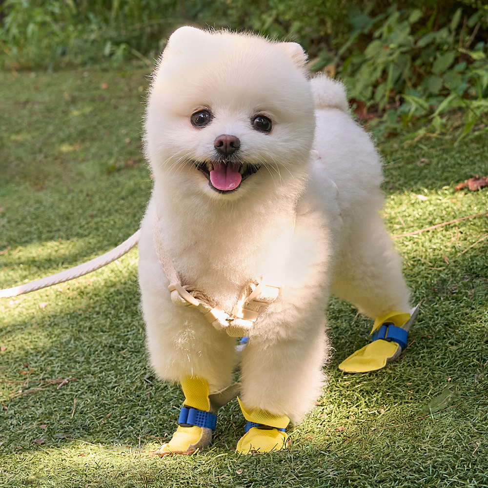 강아지신발 일회용 애견 방수 쉴드슈즈 옐로우S 80매