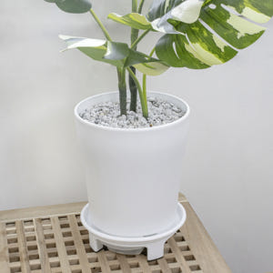 흰색 플라스틱 화분 가벼운 대형 화분 거실 빈 화이트 1호 실사용 후기 | 효과 있을까? - 상품 이미지 2