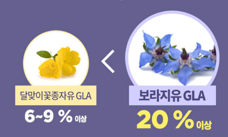 지엘에이240 생리 월경전 증후군 pms 약한달분 감마리놀산 - 상세 이미지 4