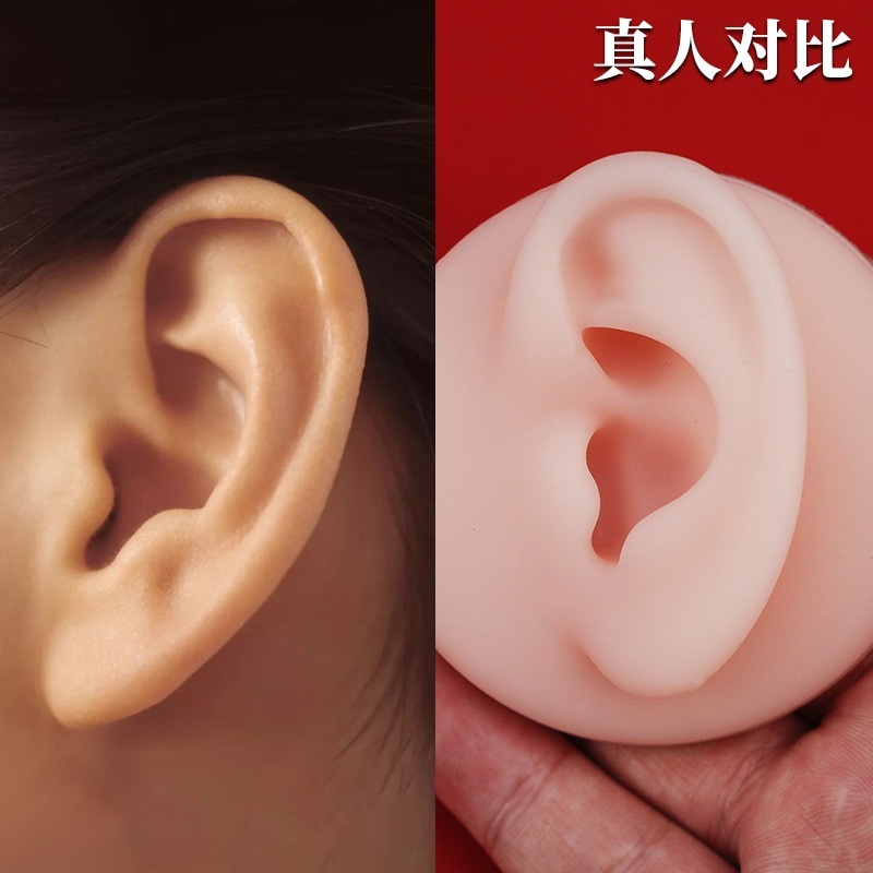 ASMR 귀 모형 귀걸이 피어싱 가짜 실리콘 전시 - 상세 이미지 4