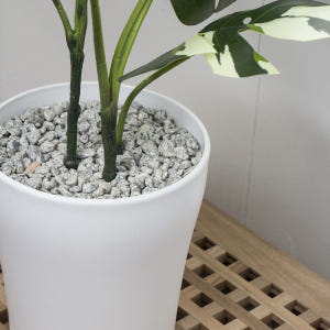 흰색 플라스틱 화분 가벼운 대형 화분 거실 빈 화이트 1호 실사용 후기 | 효과 있을까? - 상품 이미지 3