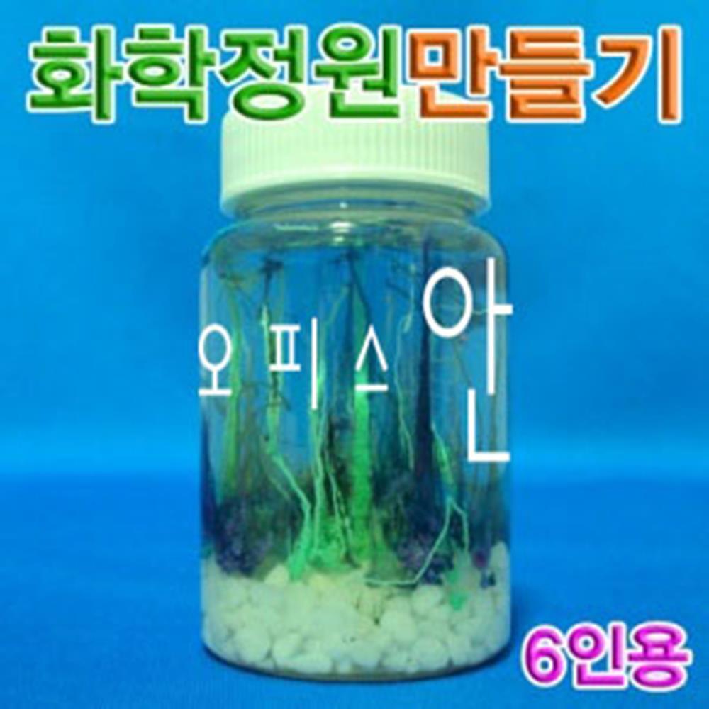 삼투압원리 금속염 화학 정원만들기 6인 실험 사이언스 관찰학습 : 양미양품