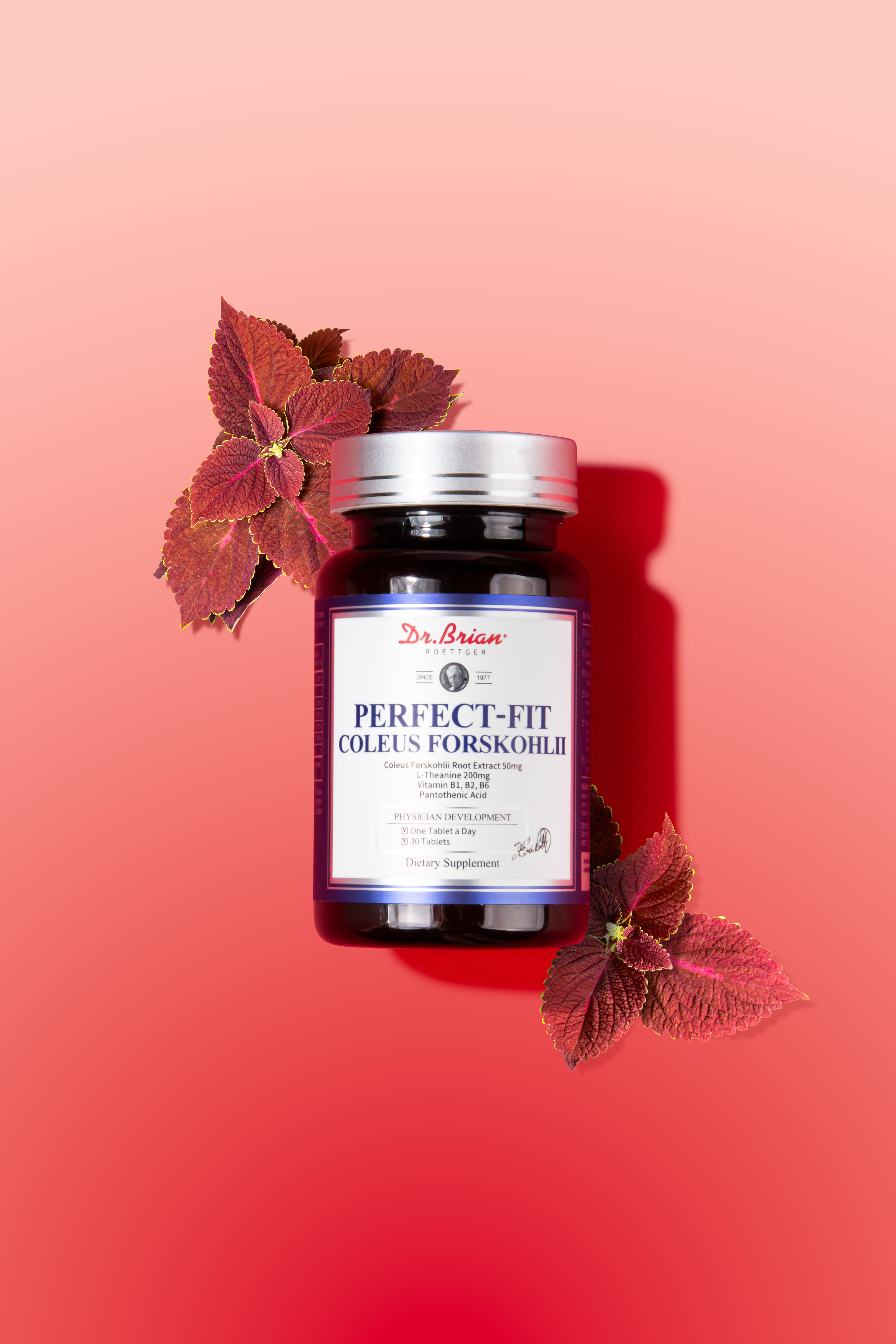 [1개월분] 닥터브라이언 다이어트 보조제 퍼펙트핏 콜레우스 포스콜리 체지방 감소 30정, 1개 이미지 2