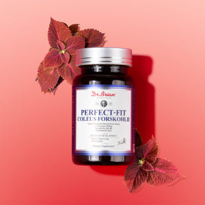 [1개월분] 닥터브라이언 다이어트 보조제 퍼펙트핏 콜레우스 포스콜리 체지... 맛있게 먹은 솔직 후기 - 상품 이미지 2