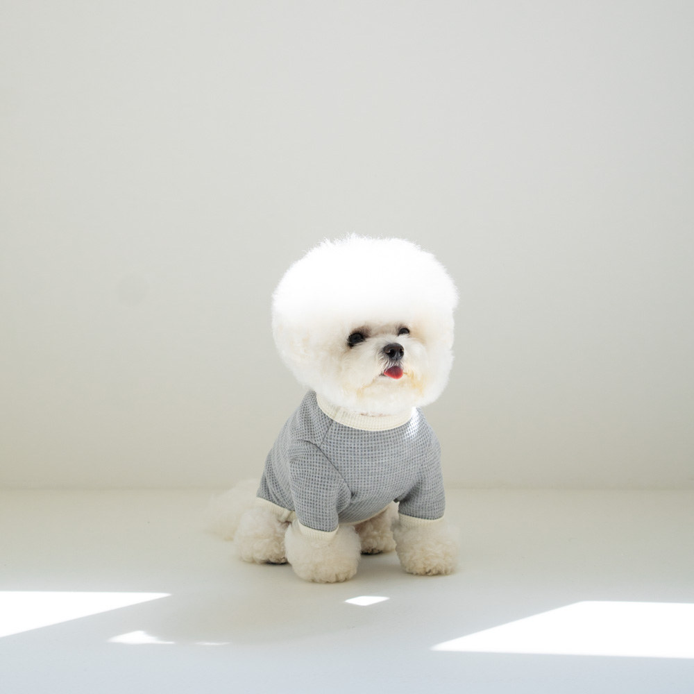 강아지옷 강아지 반려견 실내복 겨울옷 내복 티셔츠 더블버튼와플 - 상세 이미지 3