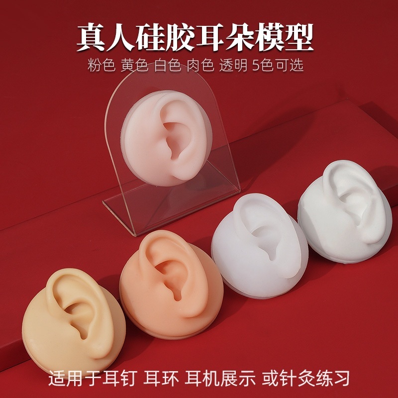 ASMR 귀 모형 귀걸이 피어싱 가짜 실리콘 전시 - 상세 이미지 2