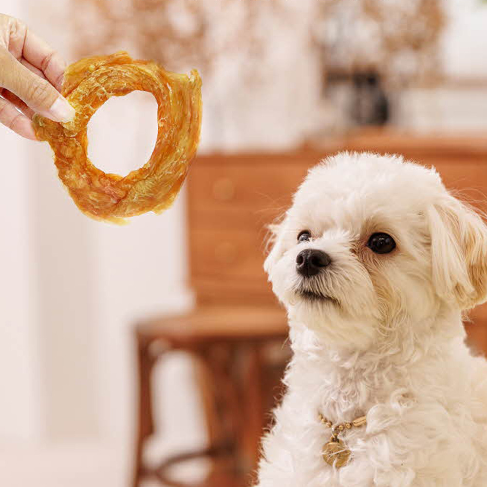 헬로도기 황태 터키츄 강아지 오래먹는 이갈이간식 칠면조 링 1P