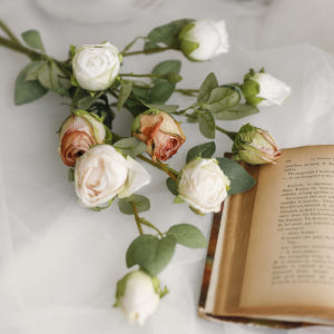 카푸치노 말린 장미 실크 인테리어 생화같은 조화 장식 실사용 후기 | 효과 있을까? - 상품 이미지 4