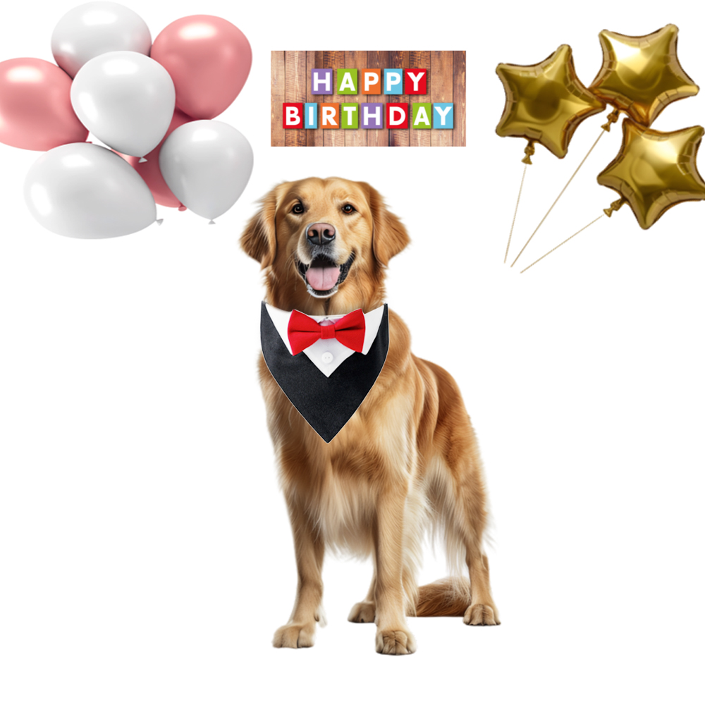 위드레오 강아지턱시도 케이프 강아지화동 화견 생일파티 사진촬영 레드 보타이 S - 상세 이미지 5