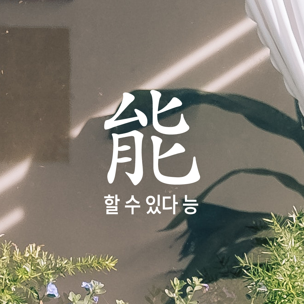 긍정 문구 인테리어 한문 한글 레터링 스티커 할 수 있다 능 LHP-200S 검정 - 상세 이미지 2