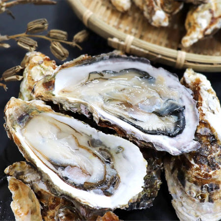 통영 석화(각굴) 5kg 10kg