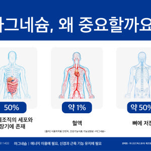 고함량 뉴 산화 마그네슘 350 비타민 b6 영양제 신경 안정 근육 효능... 맛있게 먹은 솔직 후기 - 상품 이미지 4