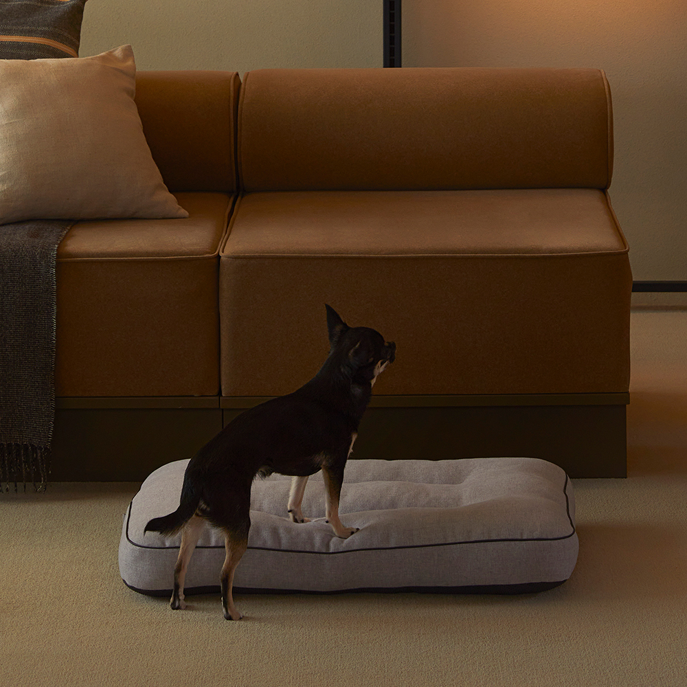 펫토 알러프리 방석 켄넬 쿠션 강아지 고양이 일체형 스몰(50cm x 35cm)