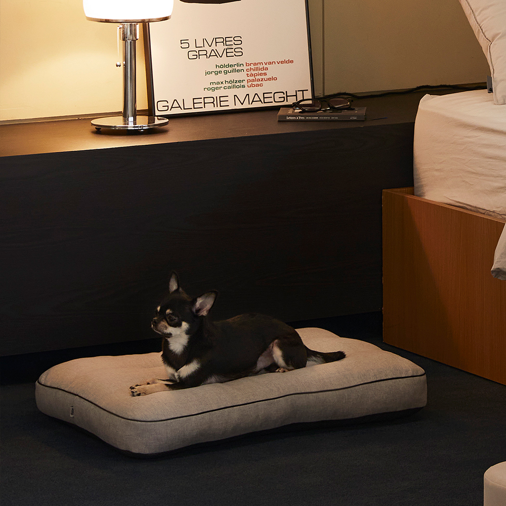 펫토 알러프리 방석 켄넬 쿠션 강아지 고양이 일체형 스몰(50cm x 35cm)