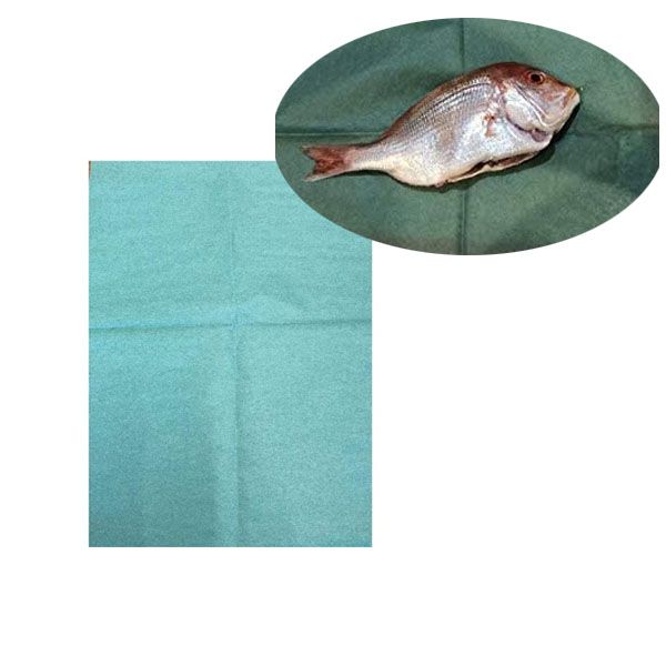 미트페이퍼 그린파치 숙성시트지 회 사시미 숙성지 해동시트 고기핏물제거종이