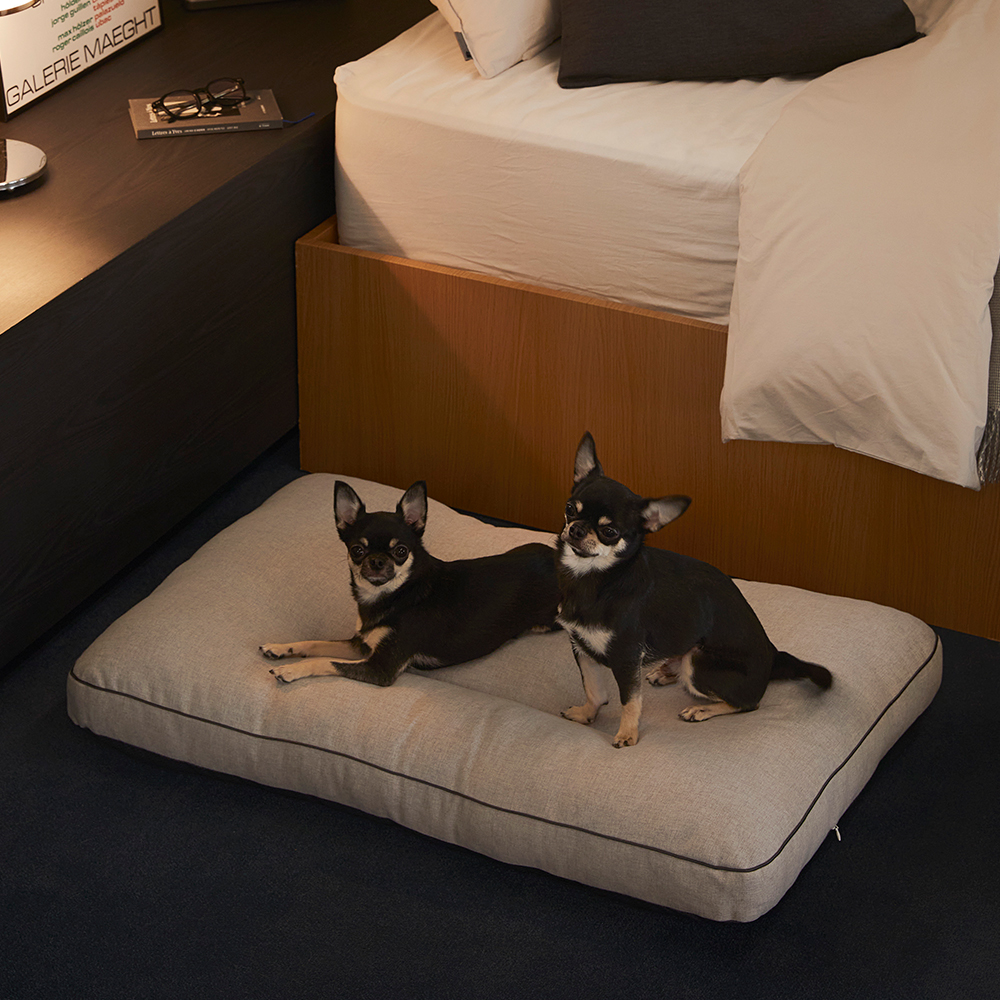 펫토 알러프리 방석 켄넬 쿠션 강아지 고양이 일체형 스몰(50cm x 35cm)