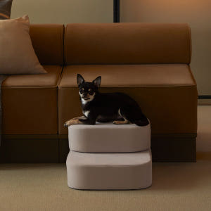 펫토 클린펫 계단 이지패브릭 강아지 고양이 논슬립 스텝 오트밀, 3단 솔직 후기 | 실제 사용자 리뷰 총정리 - 상품 이미지 2