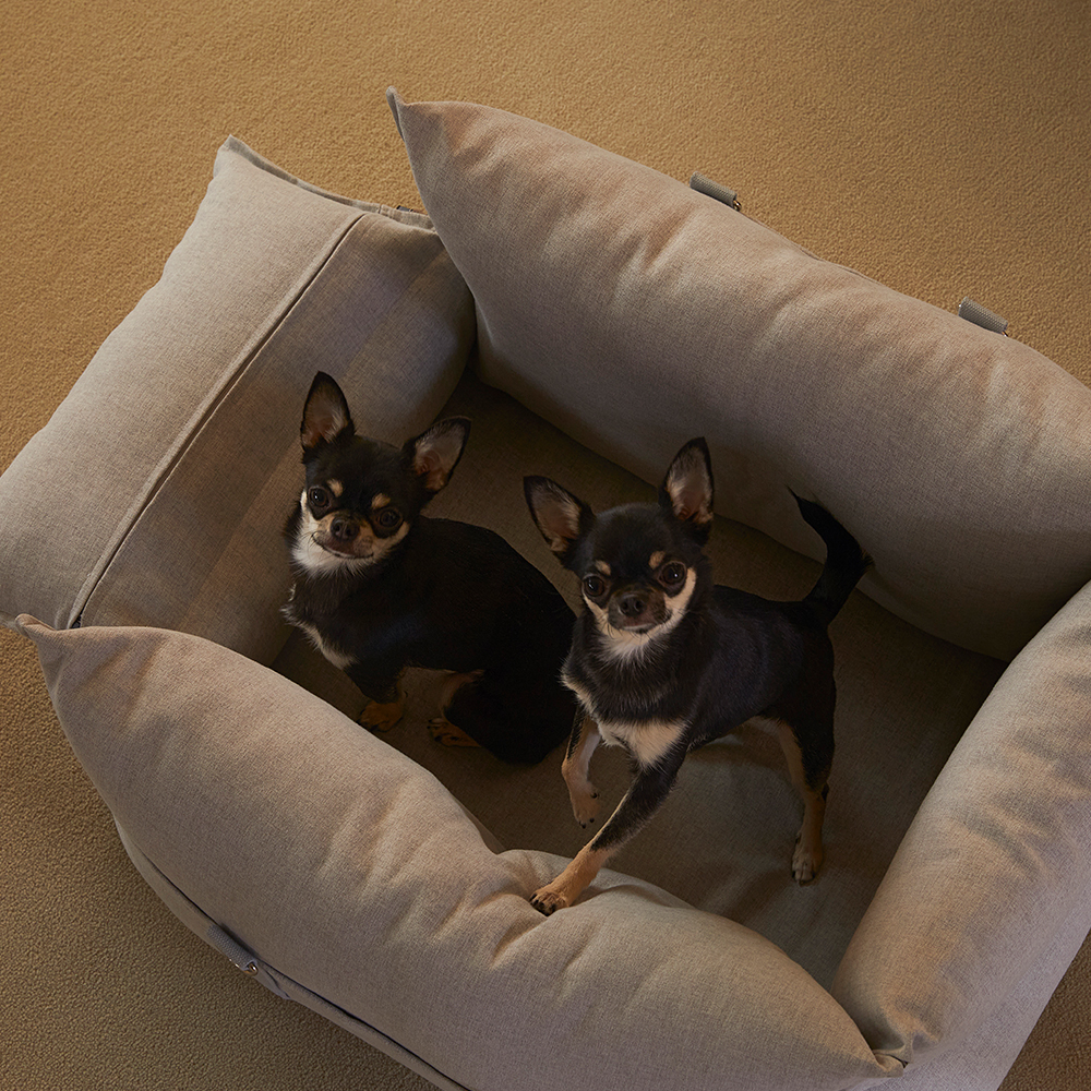 펫토 알러프리 카시트 강아지 고양이 드라이빙킷 M