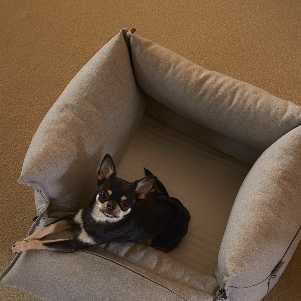 펫토 알러프리 카시트 강아지 고양이 드라이빙킷 M