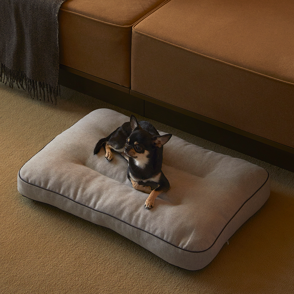 펫토 알러프리 방석 켄넬 쿠션 강아지 고양이 일체형 스몰(50cm x 35cm)