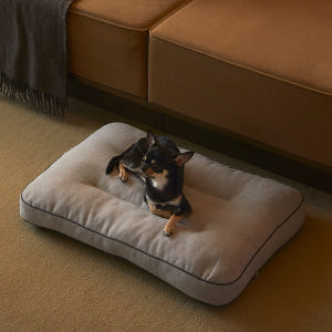 펫토 알러프리 방석 켄넬 쿠션 강아지 고양이 일체형 스몰(50cm x 3... 솔직 후기 | 실제 사용자 리뷰 총정리 - 상품 이미지 1