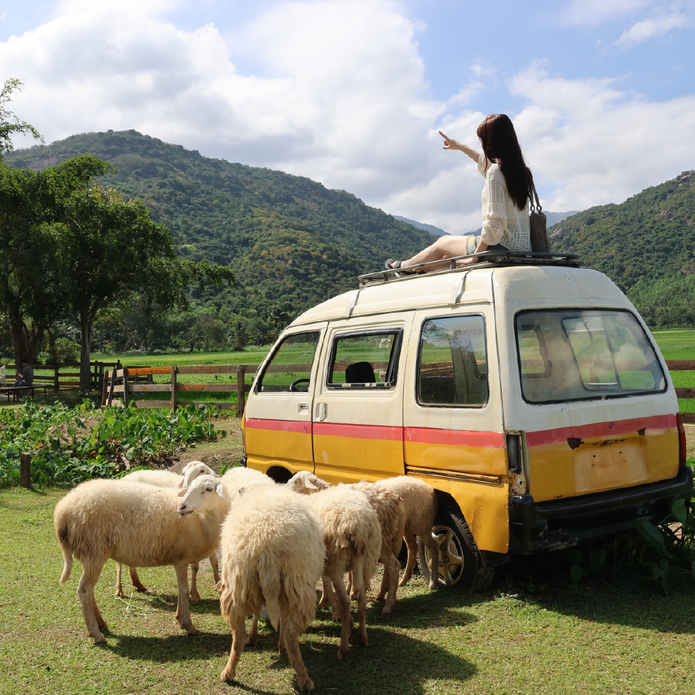 [매일출발 숏코스] 나트랑 판랑 사막 알뜰 선셋 투어 공항 무료 픽업