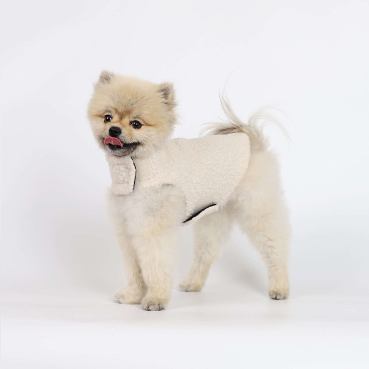 강아지옷 울코트 몽루 강아지코트(WOOL BLANKET)