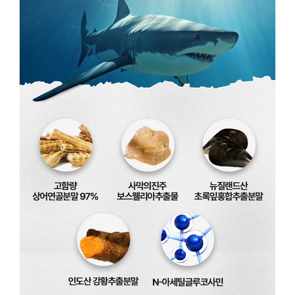 [ 선물세트 6개입 ] 그린디 상어연골 콘드로이친 1800 상어관절 6개월분 180정 - 상세 이미지 5