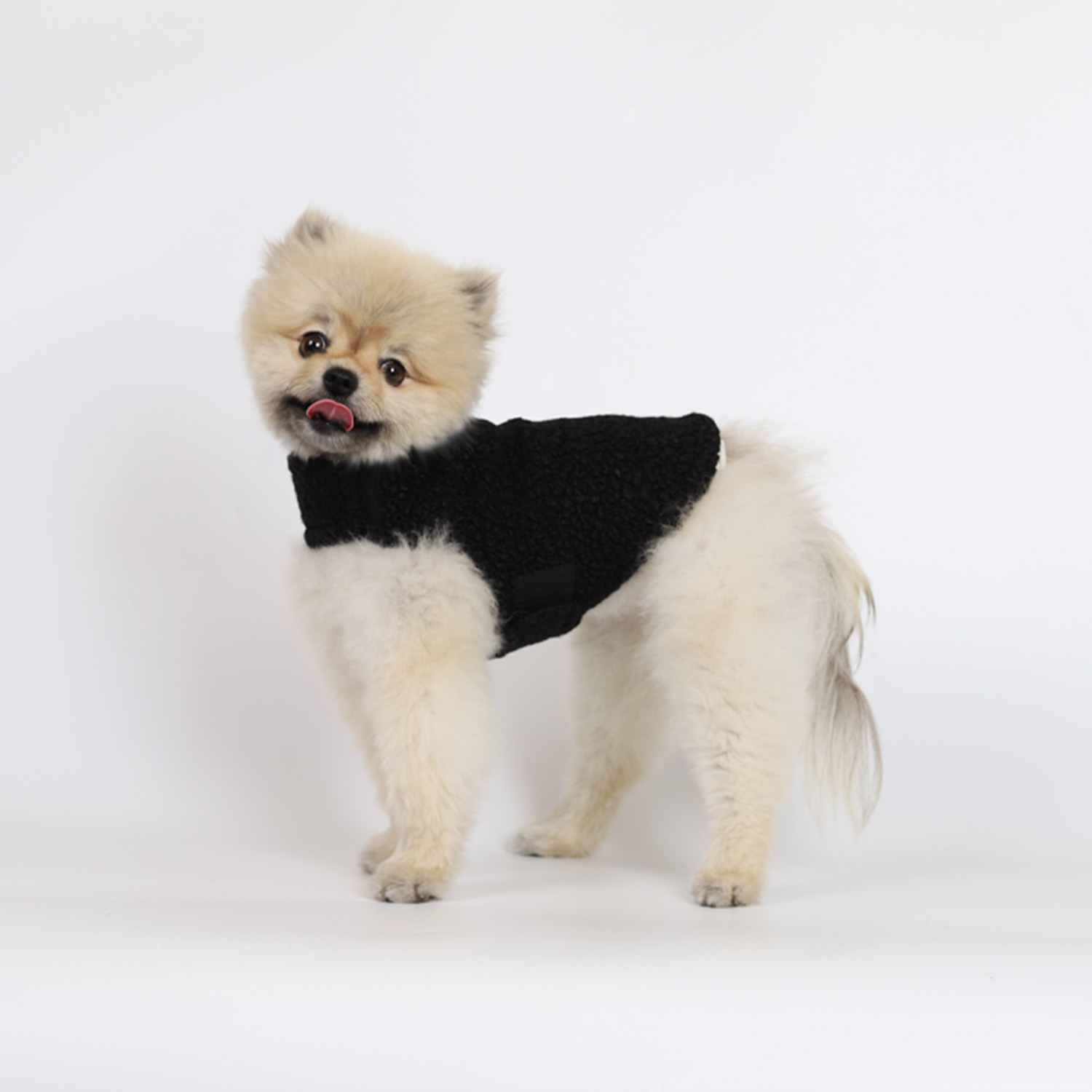 강아지옷 울코트 몽루 강아지코트(WOOL BLANKET)