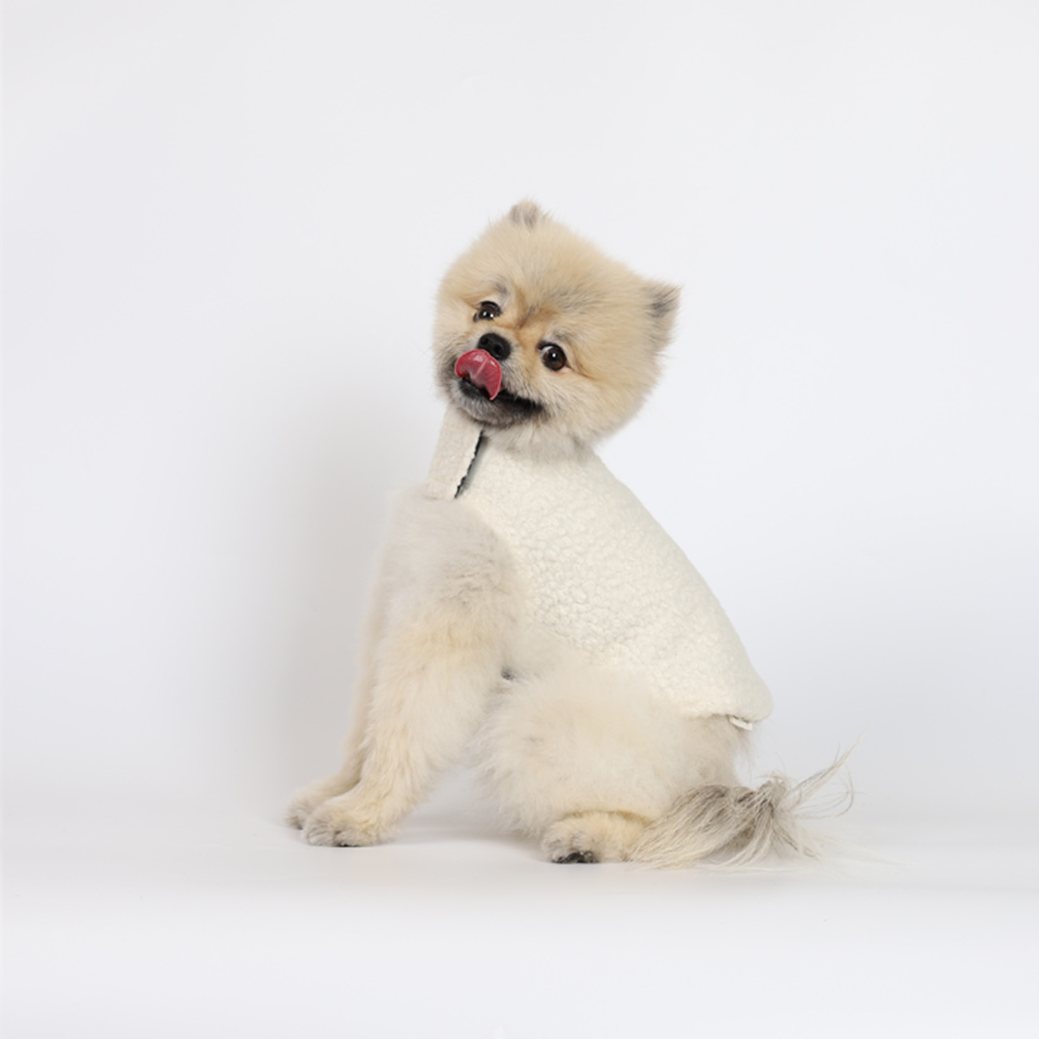 강아지옷 울코트 몽루 강아지코트(WOOL BLANKET)