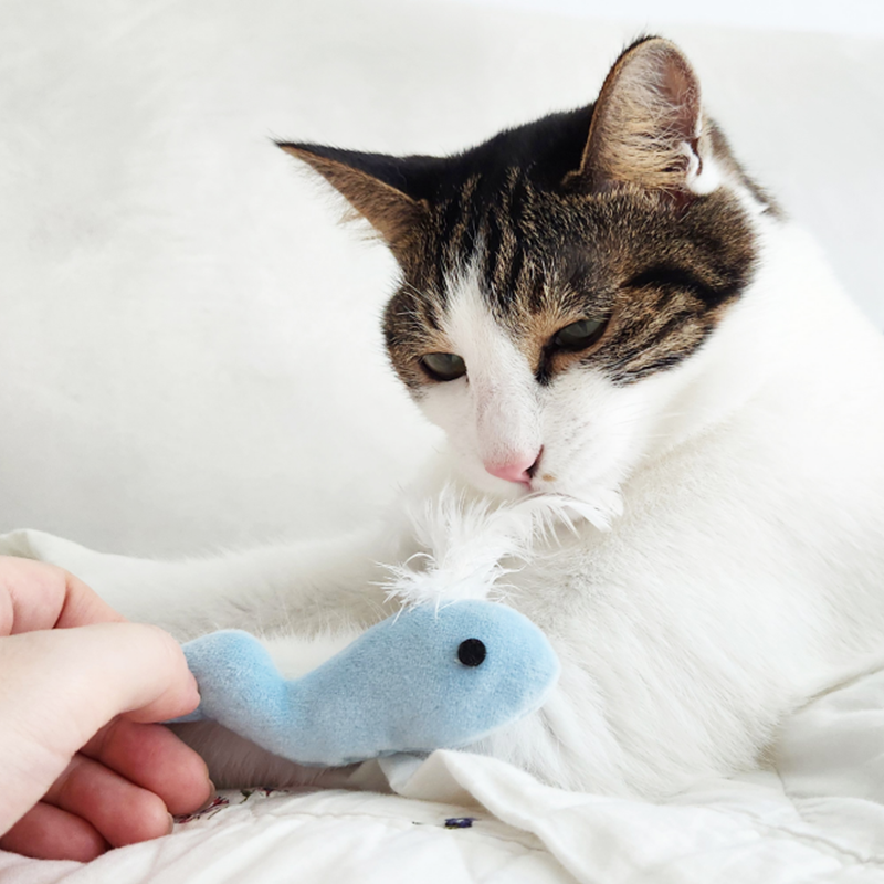 깃털 물고기 인형 고양이 생선 모양 장난감 쿠션 사냥놀이 캣토이 놀잇감 펫케어 - 상품 이미지