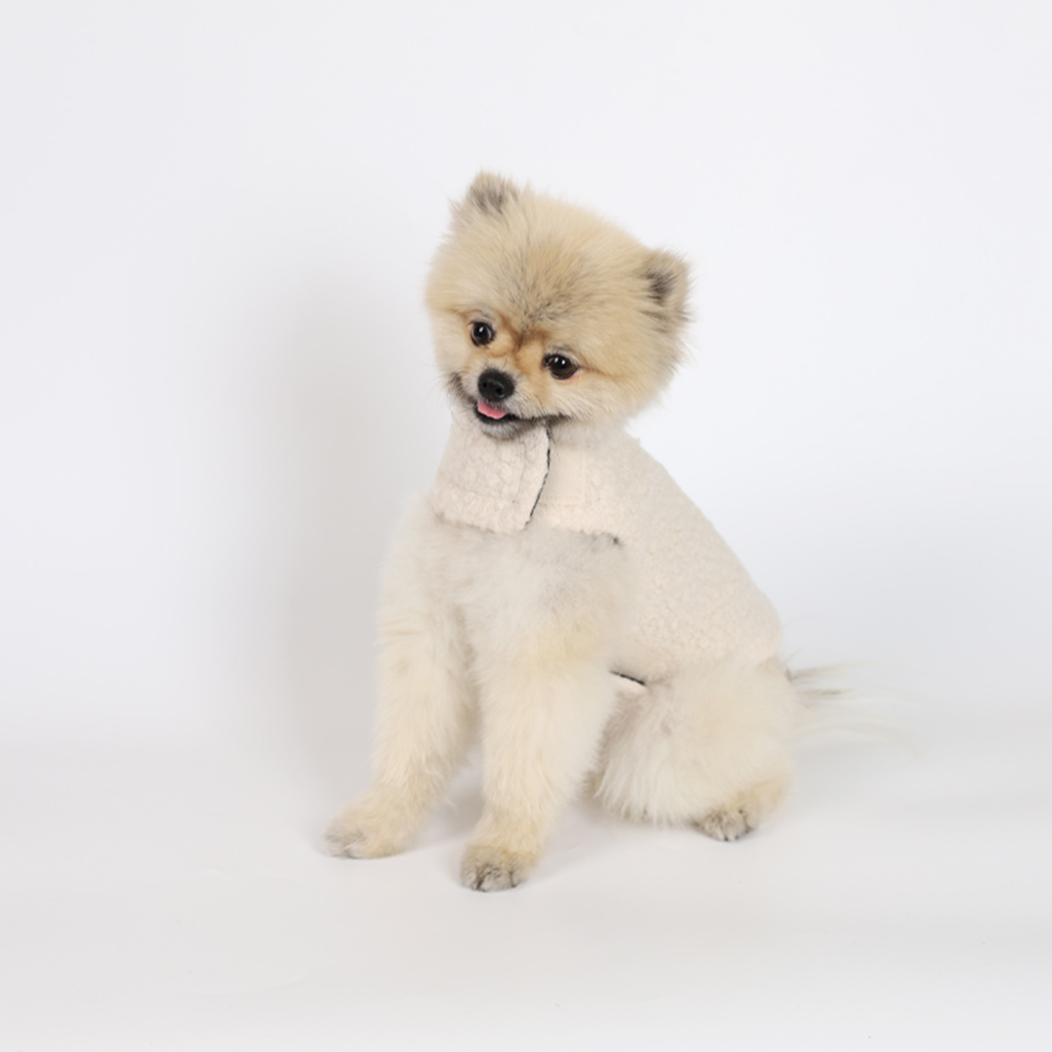 강아지옷 울코트 몽루 강아지코트(WOOL BLANKET)