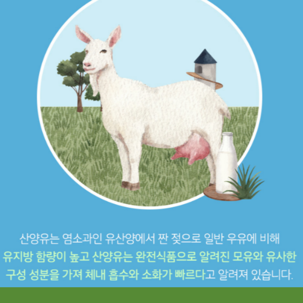 네덜란드 산양유 단백질 순도 100% 분말 1KG 임산부 단백질 쉐이크 - 상세 이미지 3