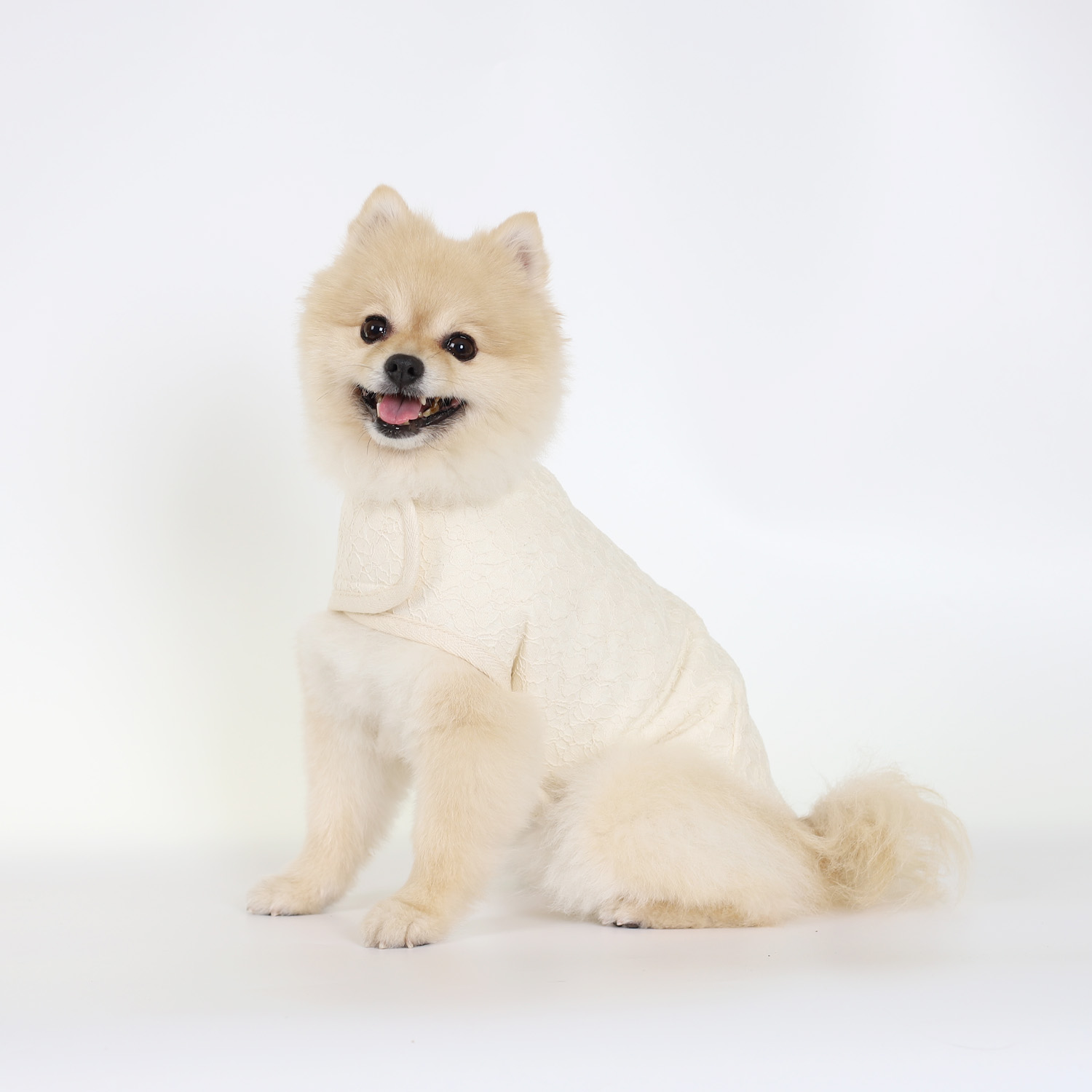 강아지코트 몽루 레이스코트