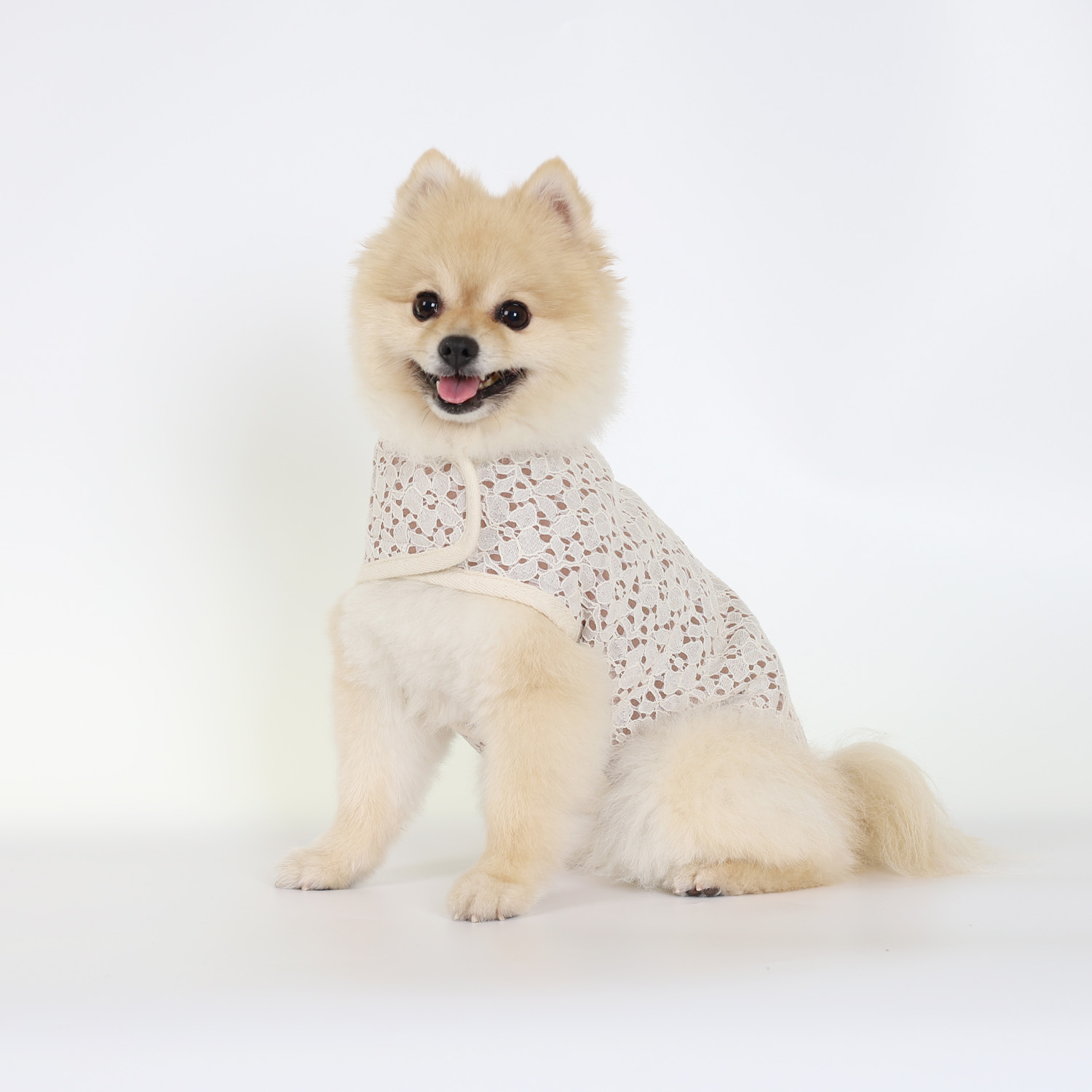 강아지코트 몽루 레이스코트