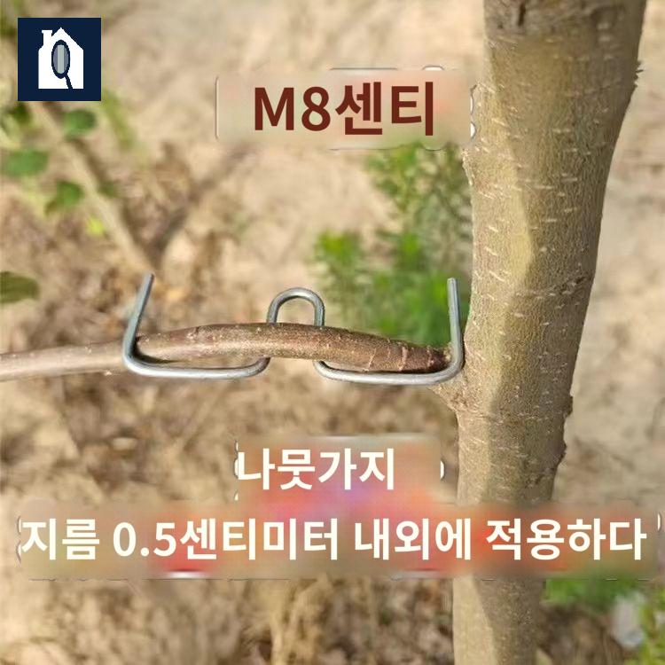 나무 묘목 과일 고정 지지대 고추대 클립 - 상품 이미지